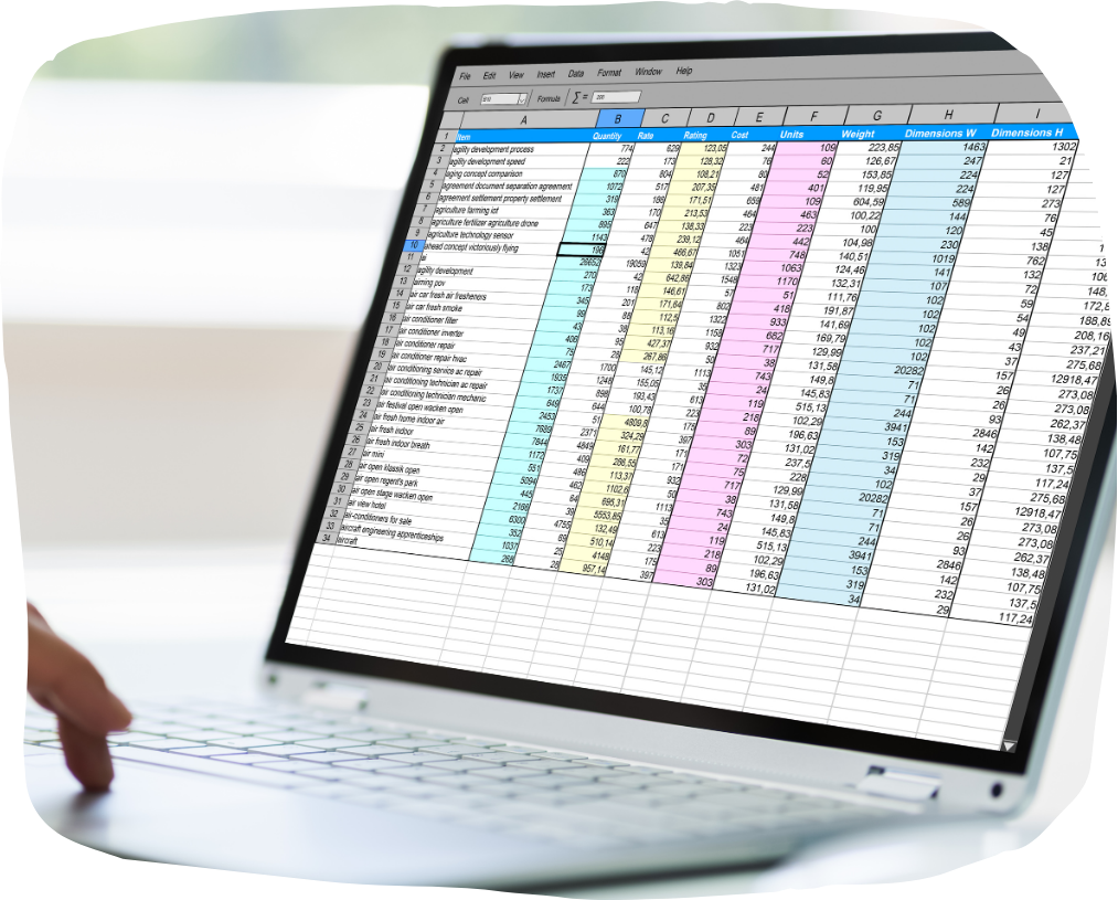 Master Budget Finance